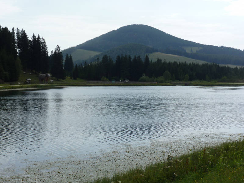 ds071025.jpg