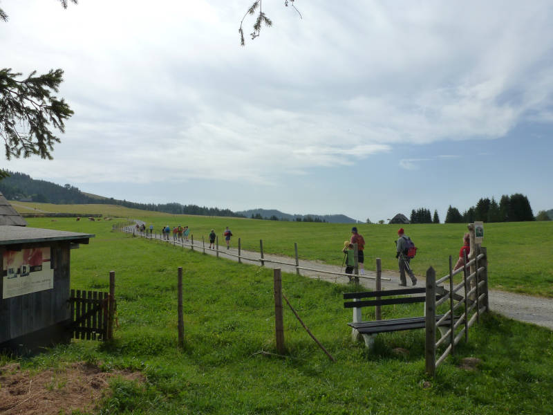 ds071032.jpg